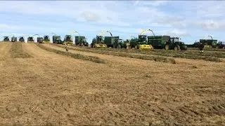 Silage 2016 17 silage harvesters 17 trailers one field