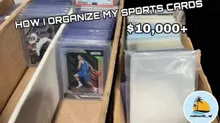 How To Organize Your Sports Card Collection. 10,000+ Cards!