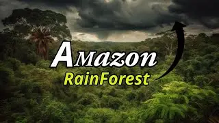Hidden Facts about Amazon Rainforest🌲