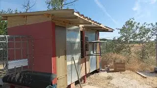 Palomas mensajeras, palomar del norte.