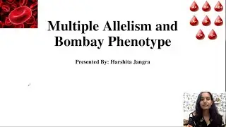 Multiple Allelism | ABO Blood grouping | Bombay phenotype | Genetics