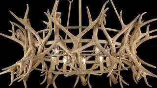 Daniels 8-Light Chandelier in Natural Antler