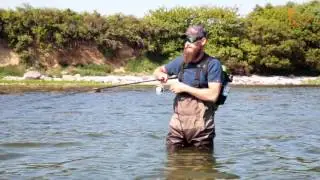 Horny Herring - Savage Gear 2017 deadly bait !!!!!