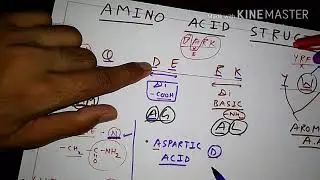 How to Remember Amino Acid Structure- 1 | TCML and ENMEDER