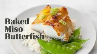 Baked Miso Butterfish | Easy Black Cod, Sablefish Recipe