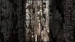 Full length of Sherwood Forest at Natural Bridge Caverns in San Antonio #family fun #travel #cave