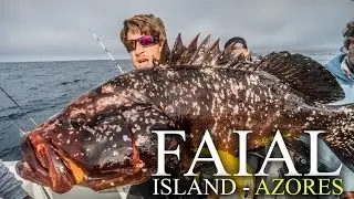 FAIAL island, AZORES - GREEN FLAKE