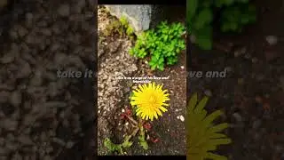 tested by Allah #viralshort #faith #muftimenk #test #allah #islamicstatus #yt #love #sign