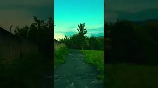 #faktaunik #suasanayangindah #streetfood #suasanapedesaandijasingabogor #nature #pemandangan #stre