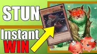 Naturia INSANE STUN LOCK in Tengu Format | Deck Profile & Gameplay