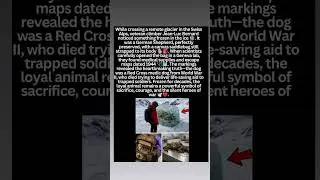TitleFrozen Hero of the Alps 🐕❄️ | A WWII Story That Broke Scientists