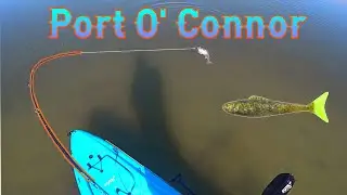 Sight Casting Tailing Redfish in Inches of Water + Massive Schools of Small Trout