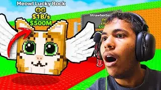 SAMMY ACTUALLY GAVE US 100 OG LUCKY BLOCKS 😱 | Steal a Brainrot