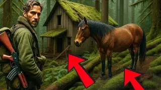 Mustang Horse Leads Veteran to a Remote Forest Cabin&mdash;The Truth Inside Breaks Him.