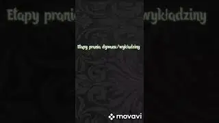 Pranie dywanu/wykładziny kolejne etapy.