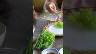 Quick and Easy Vegetarian Spring Rolls Recipe | Tasty Souls #vegetarianrecipes #springrolls #fyp