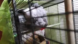 zazu play with er water part 2