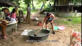 Koh Tao 2015 - Marine Conservation