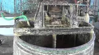 MSSPS Documentary