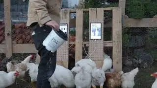 Clickfarm #2