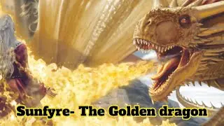 Fate Of Sunfyre The Golden Dragon Explained #sunfyre #aegontargaryen #danceofthedragons