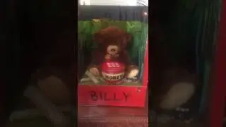 Billy the Bear