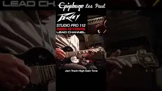 THE VALVE TONE OF THE RED STRIPE PEAVEY STUDIO PRO 112