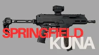 The Springfield Armory Kuna. Is this the best PCC for the money?