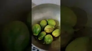 #shorts #trending #food #odisha