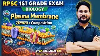 PLASMA MEMBRANE STRUCTURE & COMPOSITION 02 I RPSC 1ST GRADE BIOLOGY  I SKDIGRAWAL