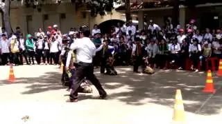 Mua Vu dieu ga rung   hoc sinh Truong PTDTNT Bac Binh