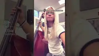 Orchestra TikTok&rsquo;s pt.3 | #orchestra #viola #violin #cello #bass