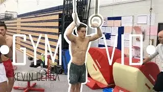 &bull;GYMVID&bull; 3 0