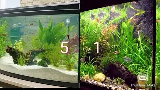 Ich bewerte Aquarien