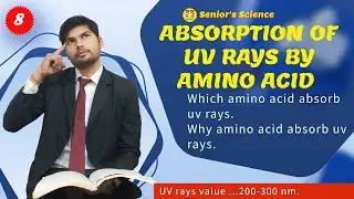 Поглощение УФ-излучения ароматическими аминокислотами || Почему это происходит || #наукадлястарше...