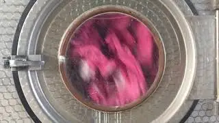 Rubber gloves are drying