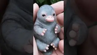 The duck-billed platypus mammal alive #animalfact