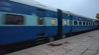 Mohol