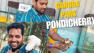Garuda Park: Guide to Pondicherry&rsquo;s First Indoor Bird Park #PondicherryDiaries #Pondy #GarudaPark