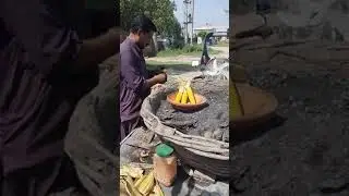 Corn Cob in Coal Ash  //  Sittaa