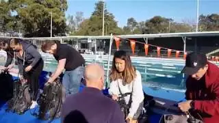 PADI Open Water Course in Sydney