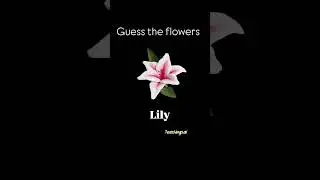 Flower Fun! Learning About Flowers For Kids #flowers