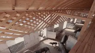 SKROZ Architecture - Black Slavonian Eco Pig Farm