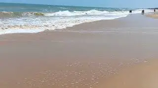 Samander Palam Palam beach 🏖️#train #happyholi #holigreetings #17गोतकि18मुतभोलारामनिमली #holiwishes