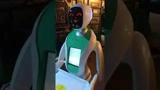 Waiter Robot Amy in UK