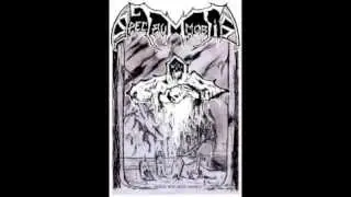 SPECTRUM MORTIS - Crypt
