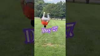 Day 27: Doing a backflip for 2 months #flip #flips   #grind #grass    #backflip #backyard  #goals