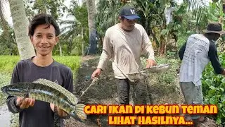 SET UP FISHING LINES!!! HUNTING FOR SWAMP FISH ON PLANTATIONS...