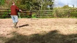 Ramiro B Mare