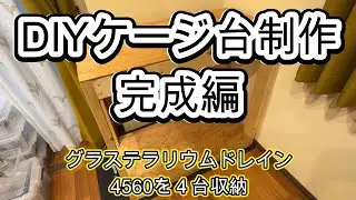 【Paludarium】DIY 完成編　グラステラリウム4560が４台乗るケージ台を作るよ